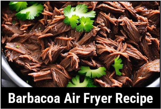 barbacoa air fryer recipe