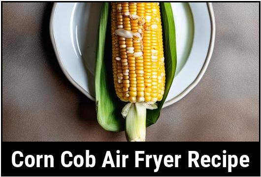 corn cob air fryer recipe