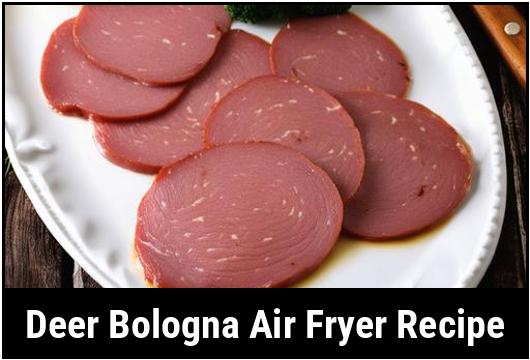 deer bologna air fryer recipe