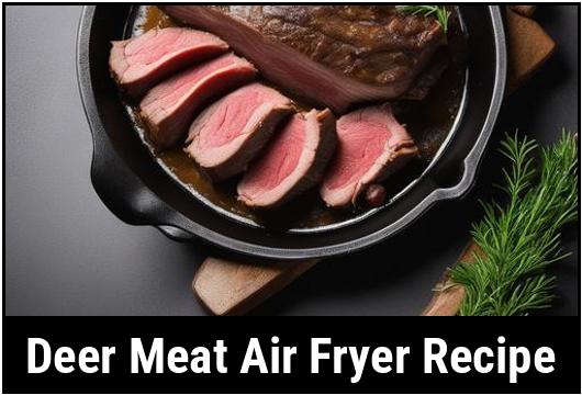 deer meat air fryer recipe