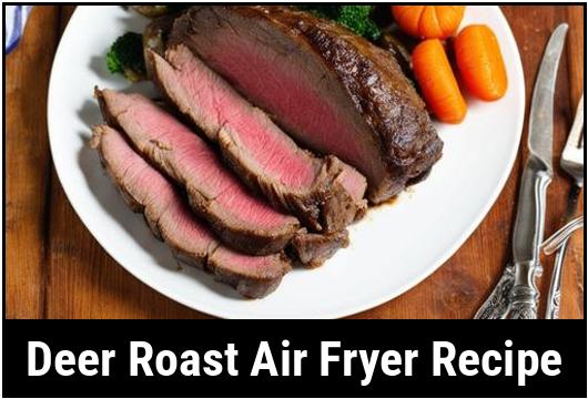 deer roast air fryer recipe