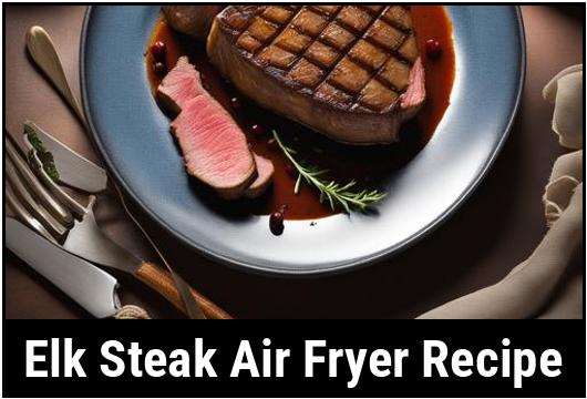 elk steak air fryer recipe