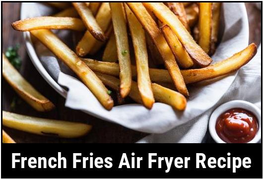 french fries air fryer recipe