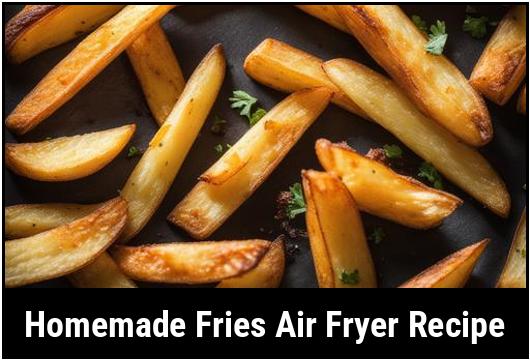 homemade fries air fryer recipe