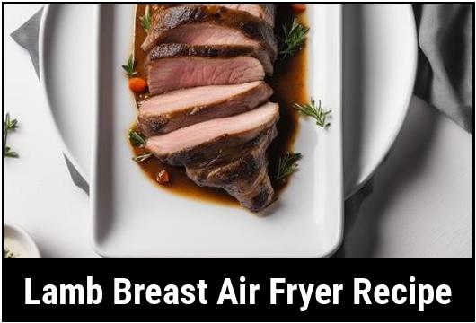 lamb breast air fryer recipe