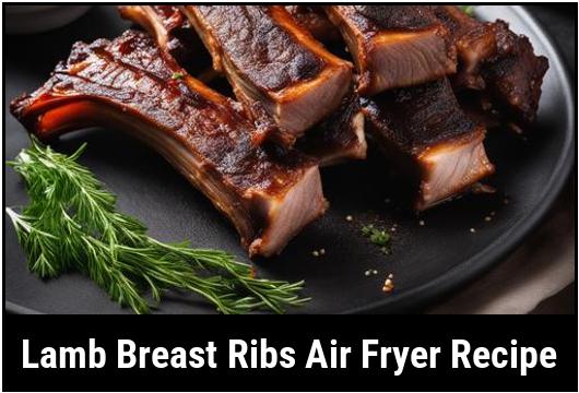lamb breast ribs air fryer recipe