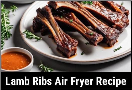 lamb ribs air fryer recipe