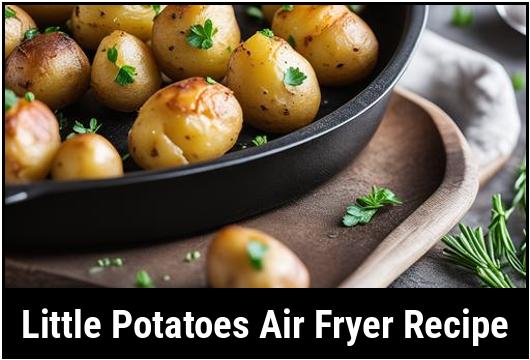 little potatoes air fryer recipe