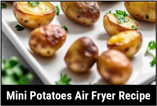 mini potatoes air fryer recipe