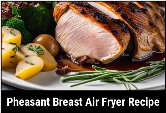 pheasant breast air fryer recipe