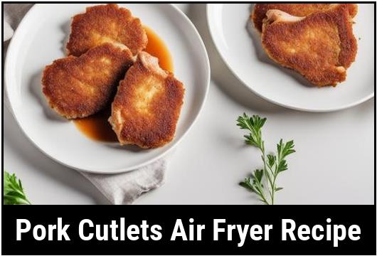 pork cutlets air fryer recipe