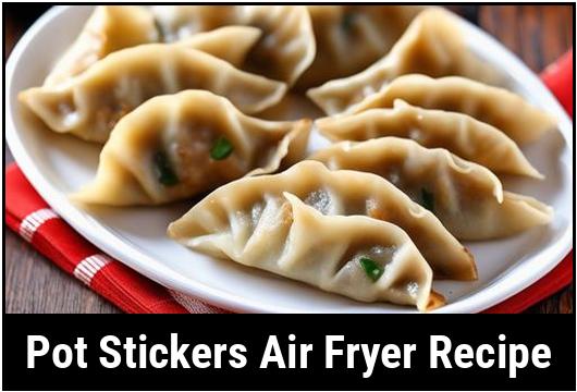 pot stickers air fryer recipe