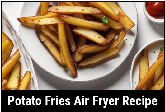 potato fries air fryer recipe