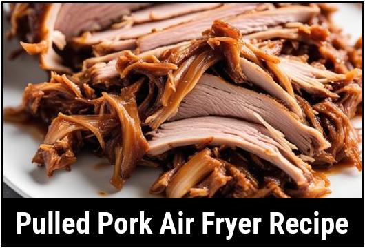 pulled pork air fryer recipe
