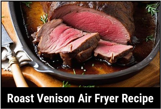 roast venison air fryer recipe