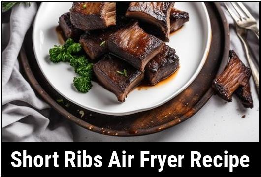 short ribs air fryer recipe