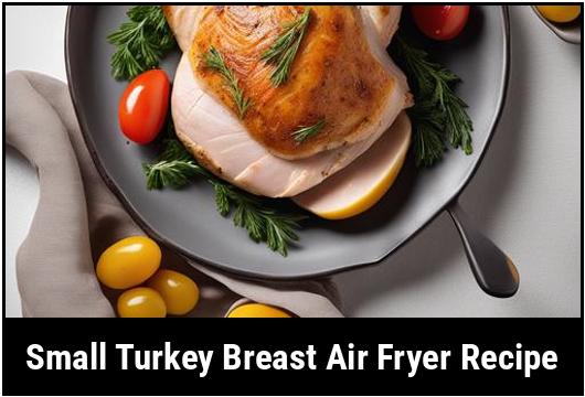 small turkey breast air fryer recipe