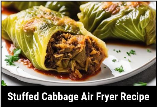 stuffed cabbage air fryer recipe