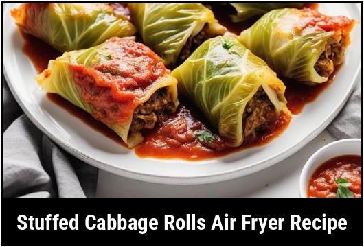 stuffed cabbage rolls air fryer recipe
