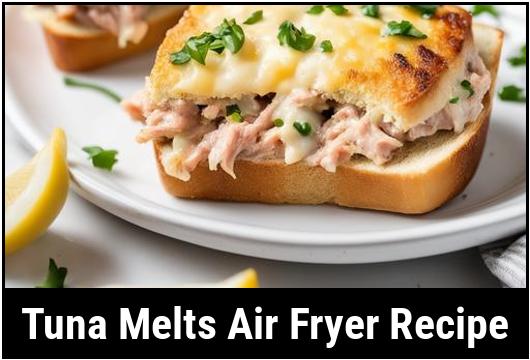 tuna melts air fryer recipe