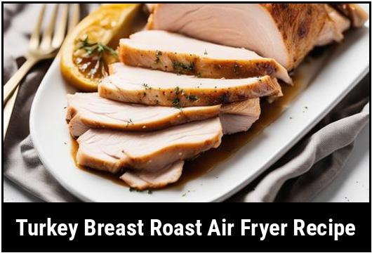 turkey breast roast air fryer recipe