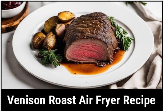 venison roast air fryer recipe